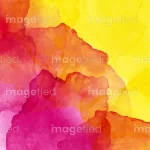 Best dimorphotheca magenta and sun yellow aureolin watercolor, abstract creative design, colorful bright stock painting, can be used for fabrics, marketing, ceramics, web banners, decor