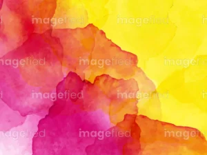 Best dimorphotheca magenta and sun yellow aureolin watercolor, abstract creative design, colorful bright stock painting, can be used for fabrics, marketing, ceramics, web banners, decor