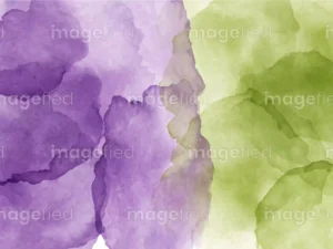 Decorative watercolor art of viola purple and icky green blend, dichromatic brushstroke splashes, elements separated on white paper background