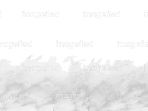 A rare background image of grey goose watercolor splashes, premium stock vector illustration of water painting, abstract brushing work