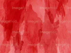 Wet on wet red watercolor splash vector illustration, high-quality abstract background, hand-painted textured patterns, isolated elements on paper