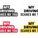 My driving scares me too digital download files set of 4