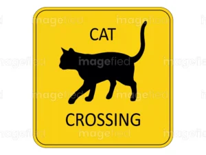 cat crossing sign digital downloadable file by imagefied