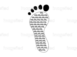 Carbon Footprint sign vector illustration